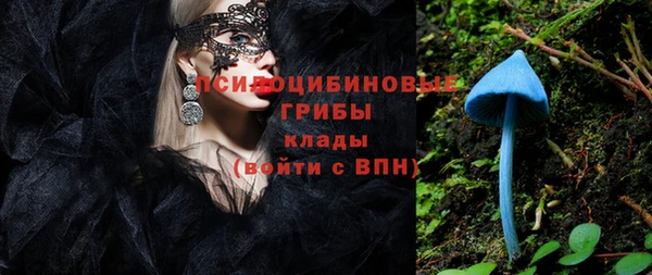 не бодяженный Краснотурьинск