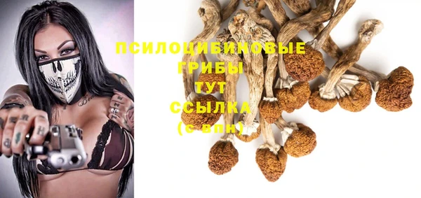 альфа пвп Корсаков
