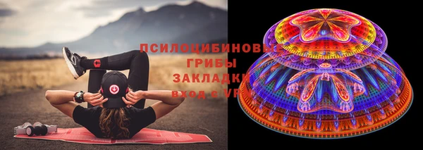 apvp Краснослободск